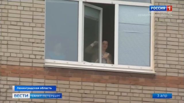 Карантин в Гатчинской ЦРБ смотреть онлайн