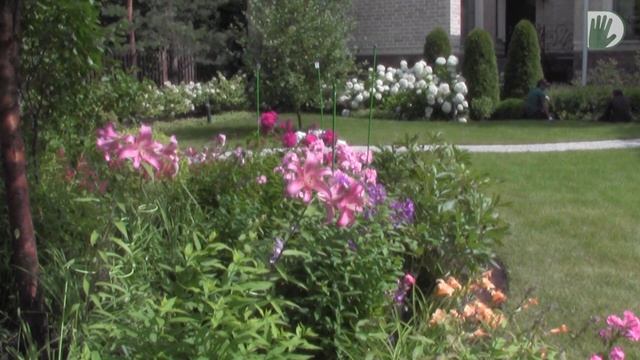 Видео журнал «Сады в отличной форме №28» Реконструкция авторского сада дизайнера Натальи Самсоновой смотреть онлайн