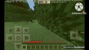 ЧТО ДЕЛАТЬ ЕСЛИ В МАЙНКРАФТЕ НЕ ОТОБРАЖАЕТСЯ РУКА!?