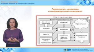 2.1.4 Переменные, влияющие на индивидуальное поведение