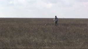 Эпаньол бретон Пола