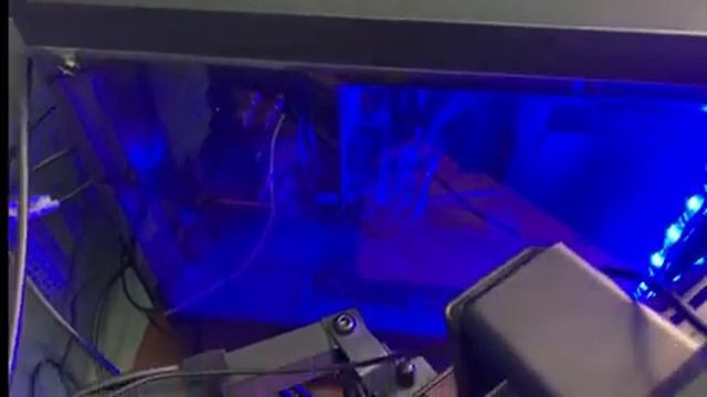 ROBLOX ANIME CATCHING ANIME ROBLOX STUFF (that should get clicks) SETUP TOUR!!! смотреть онлайн