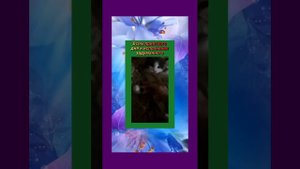 АНГЛИЙСКИЙ язык: условные предложения WOULD + V1 / WOULD HAVE + V3 — 6 декабря 2022 г.