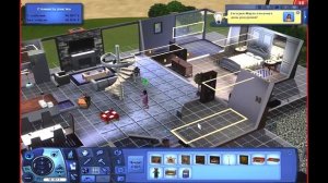 The Sims 3. Симс 3. Серия 10. Рождения ребенка. Как эффективно воспитать малыша. Качаем навыки.