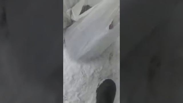 Рыбалка в твери. смотреть онлайн