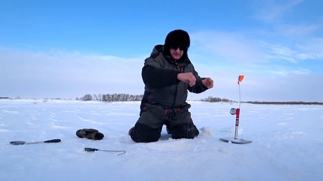 ОСТАВИЛ ЖЕРЛИЦЫ НА НОЧЬ И ПОПАЛ НА ЖОР ЩУКИ / НА КАЖДОЙ ЖЕРЛИЦЕ ПО ОГРОМНОЙ ЩУКЕ смотреть онлайн