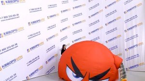 Магазин фейерверков, салюты и пиротехника / Наружная реклама