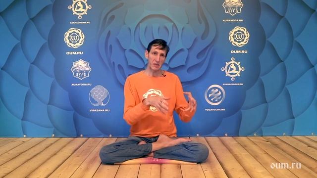 Проверка Ситы смотреть онлайн