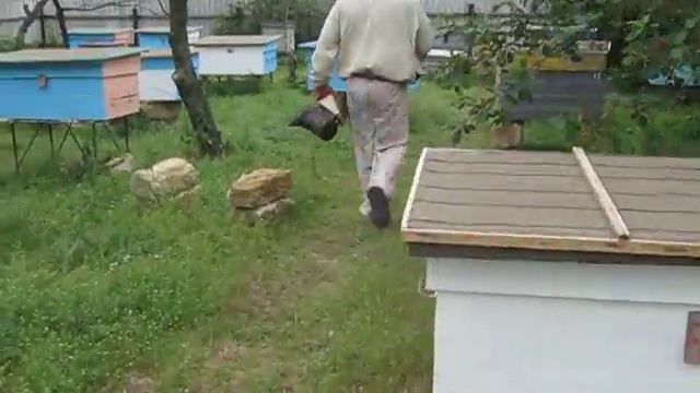 Вывод маток по методу Цибина 2 часть смотреть онлайн