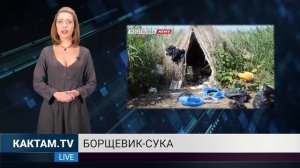 новости КАК ТАМ Борщевик и Бертолуччи 30