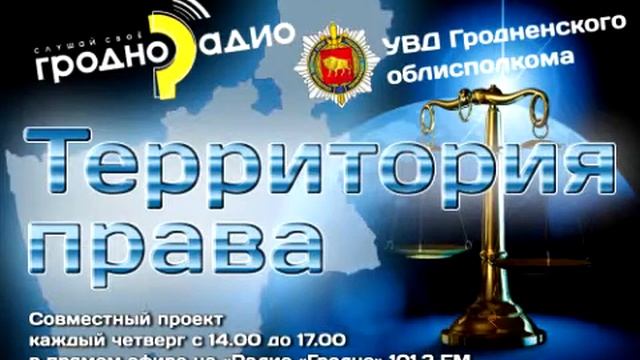 Пребывание иностранцев в Республике Беларусь - Н. Кемежук, И. Стефанович, И. Долинчик смотреть онлайн