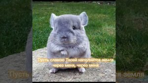 Вадим Ятковский – Пусть славою Твоей наполнится земля