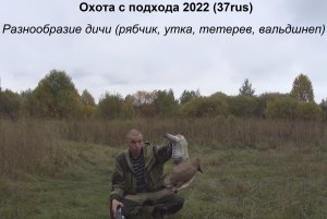 Охота 2022. Охота осенью с подхода. Разнообразие дичи!!!!