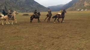 Республика Алтай. Объездка лошади. Сентябрь 2018