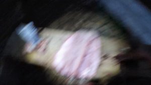 ОХОТНИКИ ИЗ СЫМЫТТАХА. ОХОТА И РЫБАЛКА ОСЕНЬЮ НА КОЛЫМЕ. GOOSE HUNTING IN SIBERIA