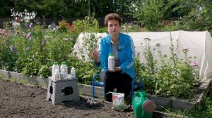 Оздоровитель почвы – в каждый сад!