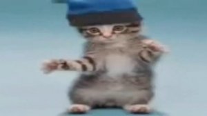 ай яй яй ю литл батерфляй 10 часов