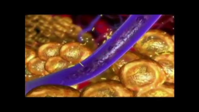 Кавитация Рязань.mp4 смотреть онлайн