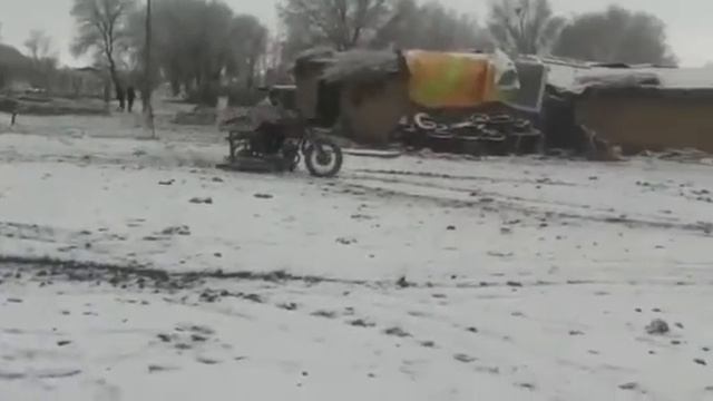 Жанакорган Кыраш ауылы смотреть онлайн