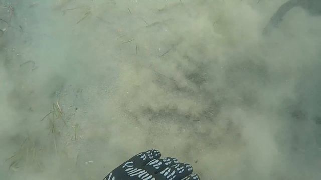 ??? Metal Detecring. Found a Gold Rings, Pendant, Coins. Remains of an Ancient Amphora. смотреть онлайн