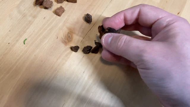 Phalaenopsis Orchids..Easy To Grow and Bloom смотреть онлайн