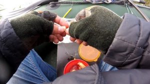 Карп взял на картошку с чесноком | В этот раз погода подвела | Рыбалка