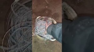 витая пара. сколько меди???
