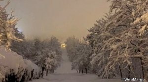 МультиУрок. Явления природы. Окружающий мир 2 класс. "У вас сезонная хандра, а у природы изменения"