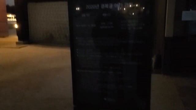 СЕУЛ ВЛОГ | посетили ночной дворец Кенбоккун, выходной в Сеуле