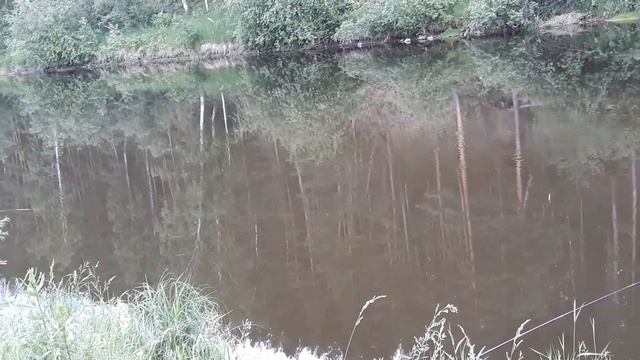 Щука на 2.500 кг. на большого чебака, река Реж Свердловская обл. смотреть онлайн