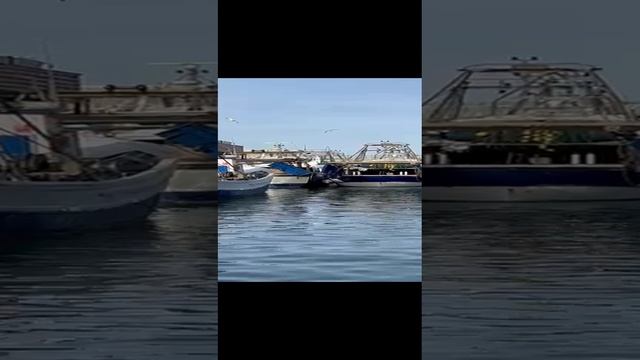 Рыболовный флот на юге Испании