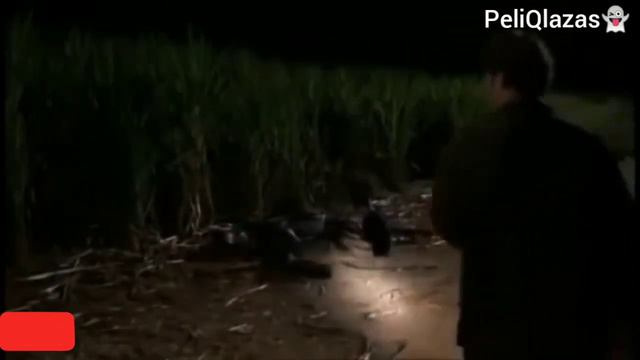 Mejor Película de Terror Completa en Español (Komodo) смотреть онлайн