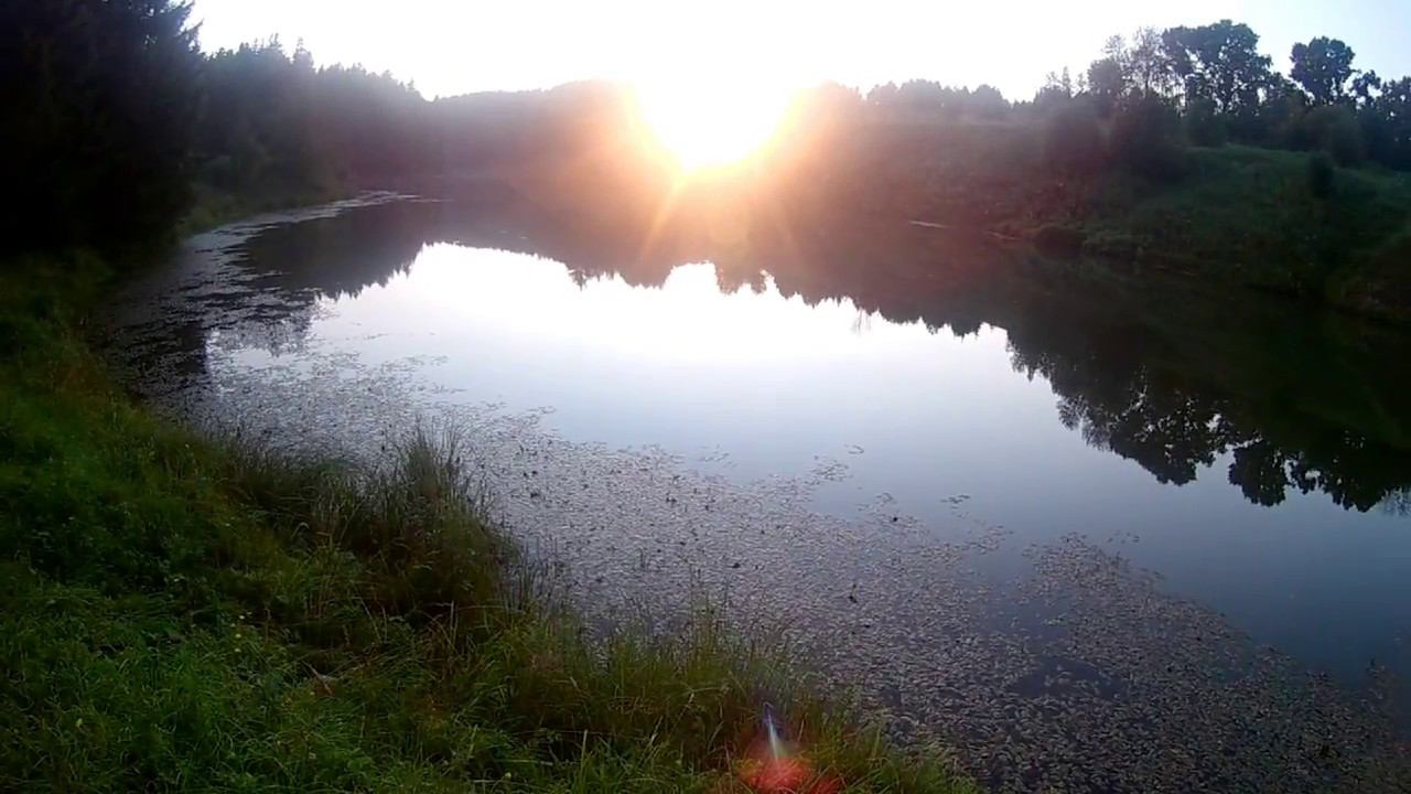 Рыбалка на Шамьевских прудах, Крупный лещь