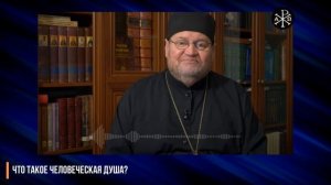 Что такое человеческая душа? | Протоиерей Олег Стеняев