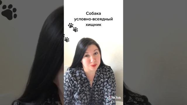 Как одомашнивание повлияло на питание собак