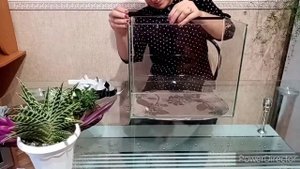 Флорариум своими руками!