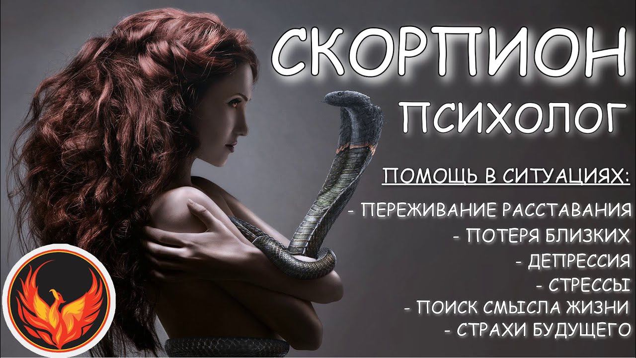 СКОРПИОН-ПСИХОЛОГ ЛЮБОВЬ ♏. РЕКОМЕНДУЮ