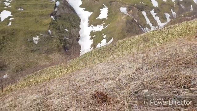 ЧАСТЬ 2 Супер удачный коп на Сахалине. Карафуто. Монеты жменями) Sakhalin