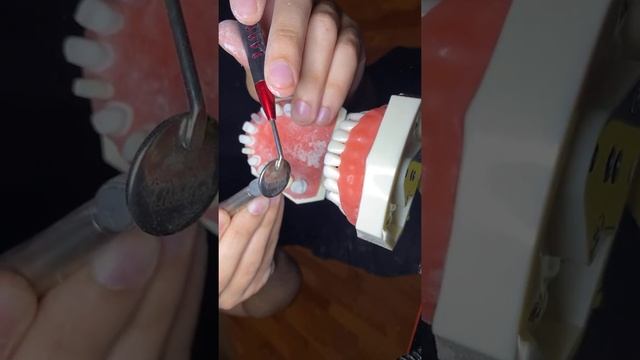 Тренировка обточки зубов: премоляры смотреть онлайн