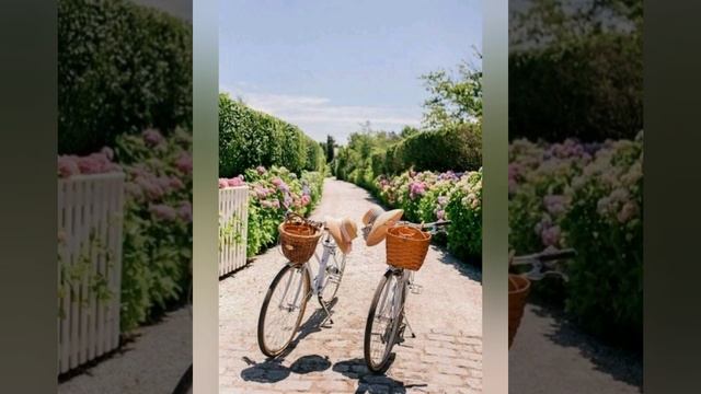 #28июля - Кирик и Улита. 