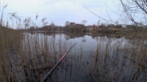 Весенний поплавок. Краснопёрка и плотва