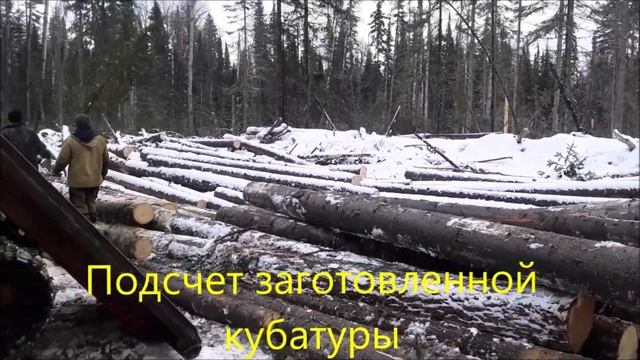 ЛЕСОЗАГОТОВКА понемногу. Трелевочники ТДТ-55 и ТТ-4.