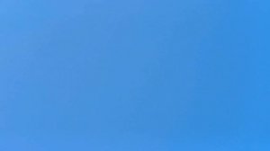 Завёз голубей на расстояние/Brought pigeons in the distance