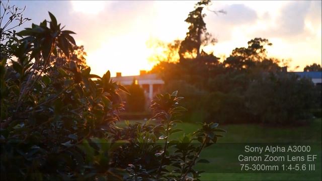 Sony Alpha A3000 смотреть онлайн