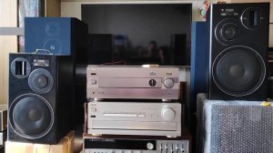 Pioneer S-1300DV + Yamaha AX-892