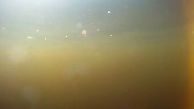 Alligator Alley Florida at a rest stop смотреть онлайн