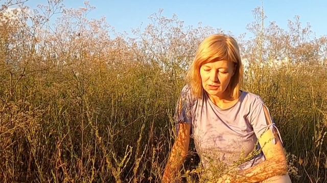 Как #природа помогает быть счастливым? Что значит быть собой?#мысливслух смотреть онлайн