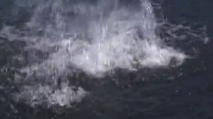 Эльдорадо кучное