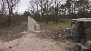 Феодосия, вид с горы Тепе-оба, чаша Зибольда.