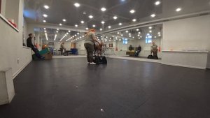 Как правильно готовить собак к выставке